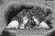 Freddie & Brian etwa 1973